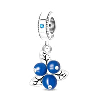 blueberry pandora
