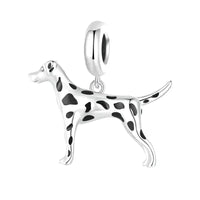 dalmatian charm