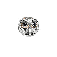 Silver owl charm with black eyes.
