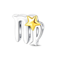 virgo-star-sign-charm