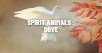 Unlocking the Secrets of Dove Symbolism: The Ultimate Guide to the Dove Spirit Animal