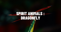 Dragonfly Spirit Animal: Symbolism and Meaning