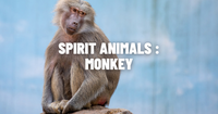 Monkey Spirit Animal - Symbolism and Meaning