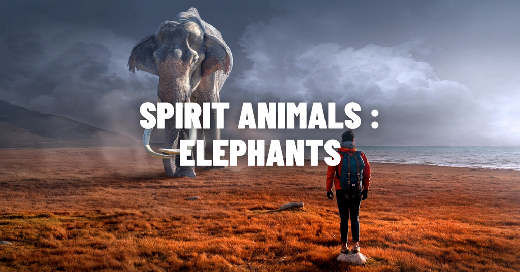 The Enchanting World of Elephant Symbolism and Meaning