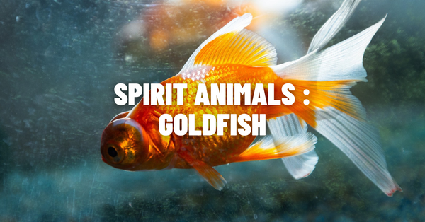 Goldfish Symbolism - Unraveling the Spiritual Meaning and Totem Powers