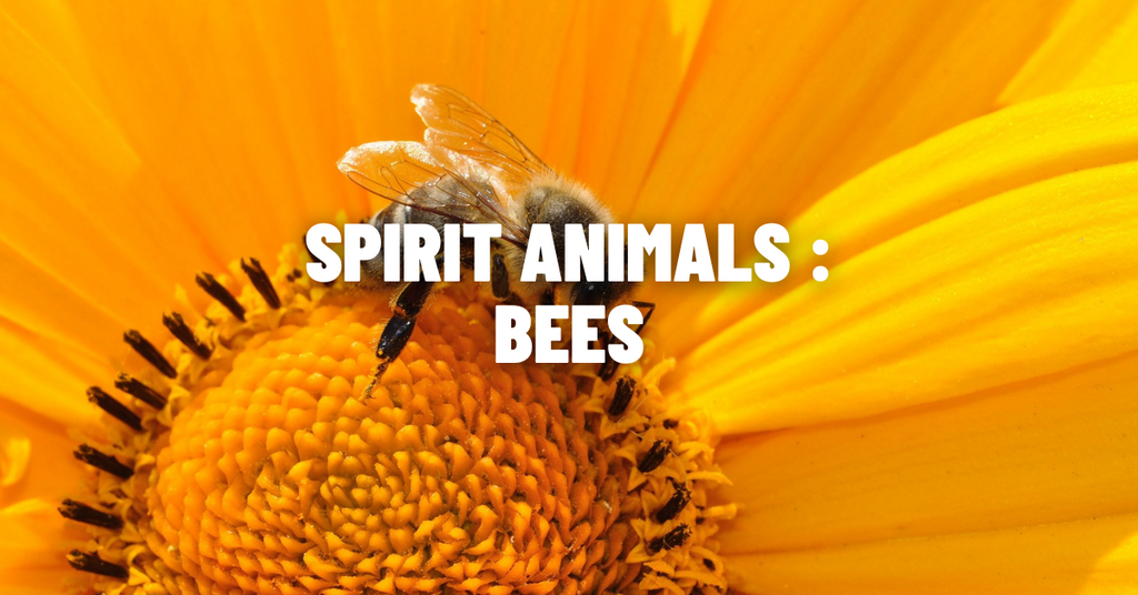 Bee Symbolism & Meaning  Spirit, Totem & Power Animal