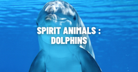 The Mystical World of Dolphins: Meaning, Symbolism, and Spirit Animal Guide