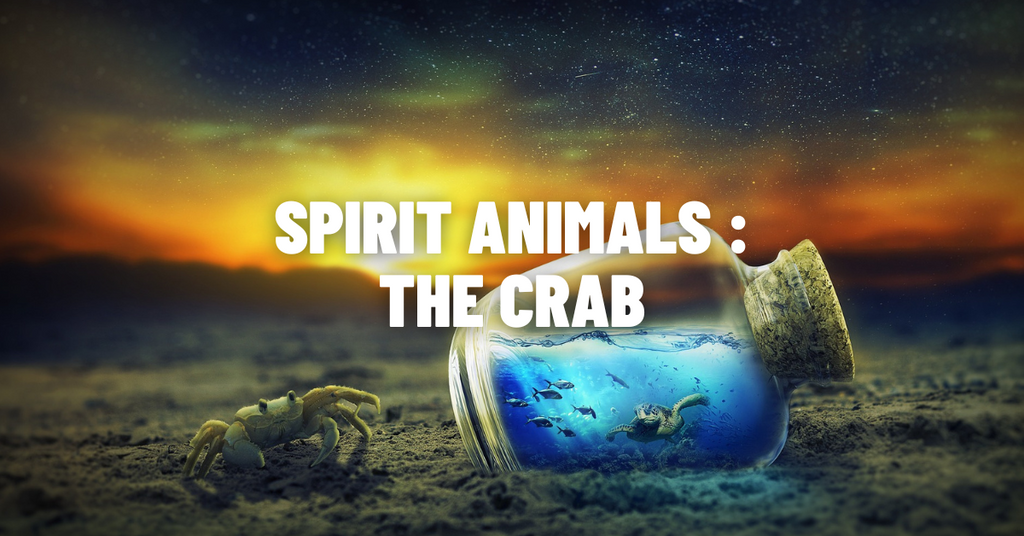Discover the Powerful Wisdom of the Crab Spirit Animal: A Complete Guide