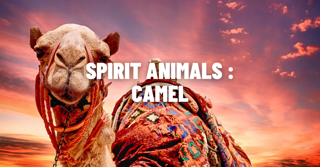 The Ultimate Guide to the Camel Spirit Animal: Unlocking Inner Strength and Adaptability