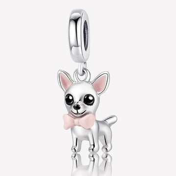 Chihuahua Charm
