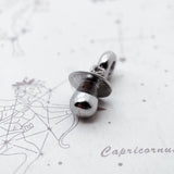 Pacifier Charm