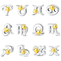 Pisces Star Sign Charm
