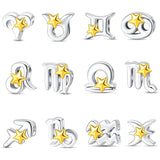 Capricorn Star Sign Charm