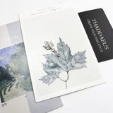 Silver Maple Leaf Charm