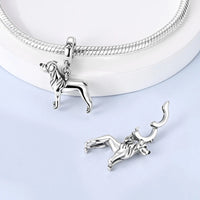 Rottweiler Charm