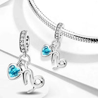 Capricorn Charm