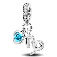 Capricorn Charm