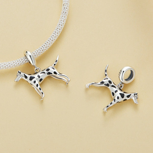dalmatian pandora