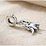 Diplodocus Charm