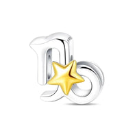 capricorn star sign charm